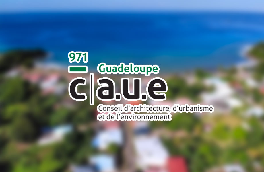 Qui fait quoi : Le CAUE (conseils en matière d’architecture)